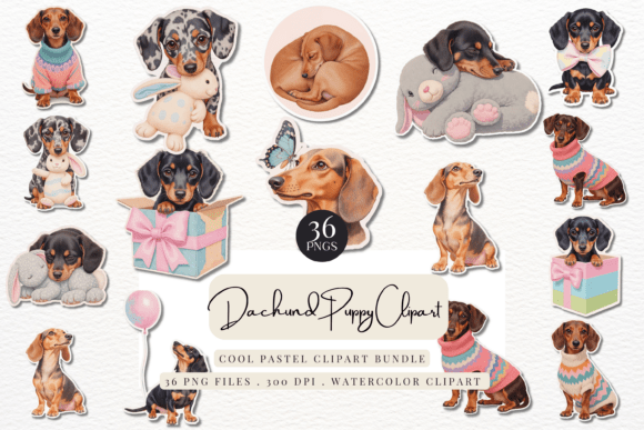 Download Cute Dachshund Puppy - Cute Collection