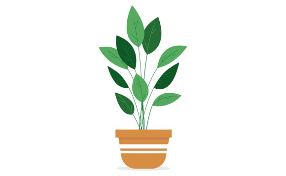 Download Animated Plant - Animated Collection